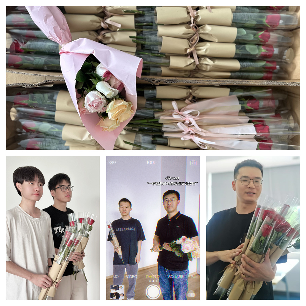 以玫瑰之名，致敬每一个发光的你(图1)