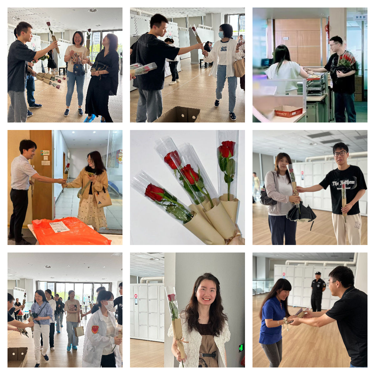 以玫瑰之名，致敬每一个发光的你(图2)